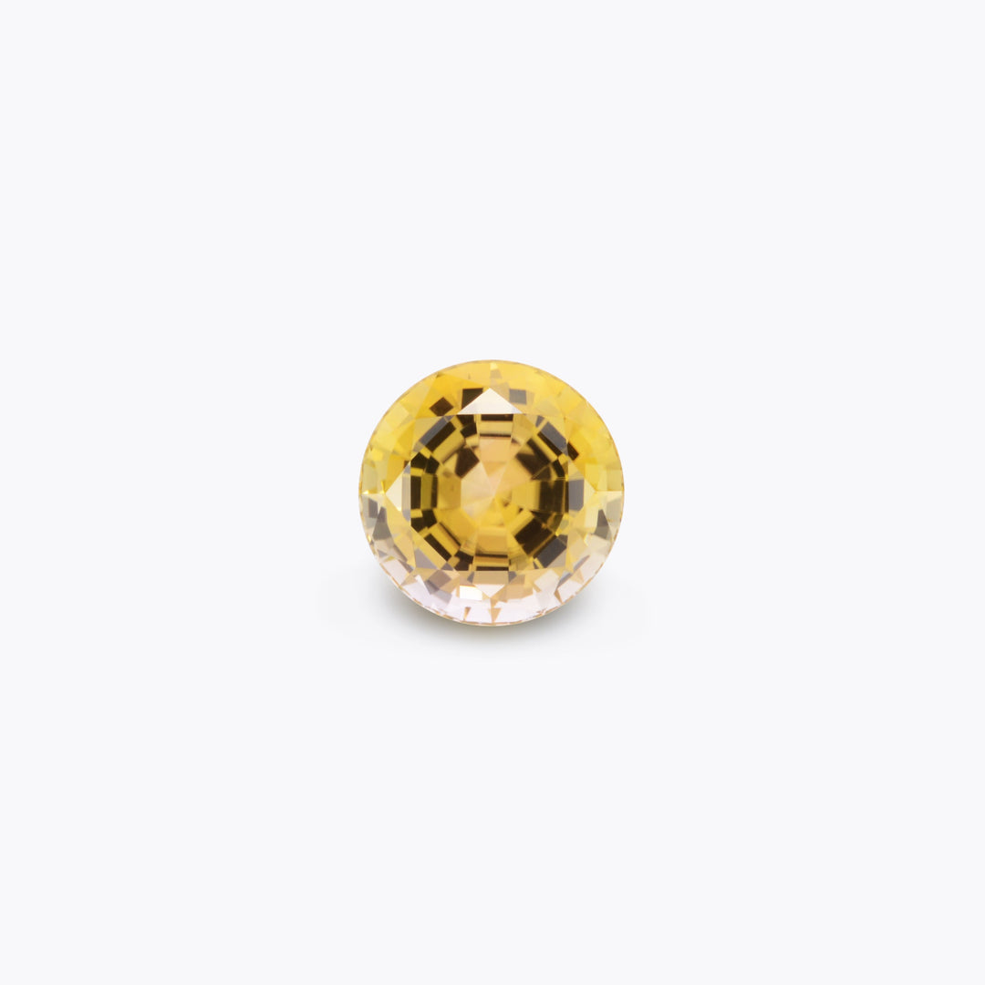 Bicolor Autumn Tourmaline #320226
