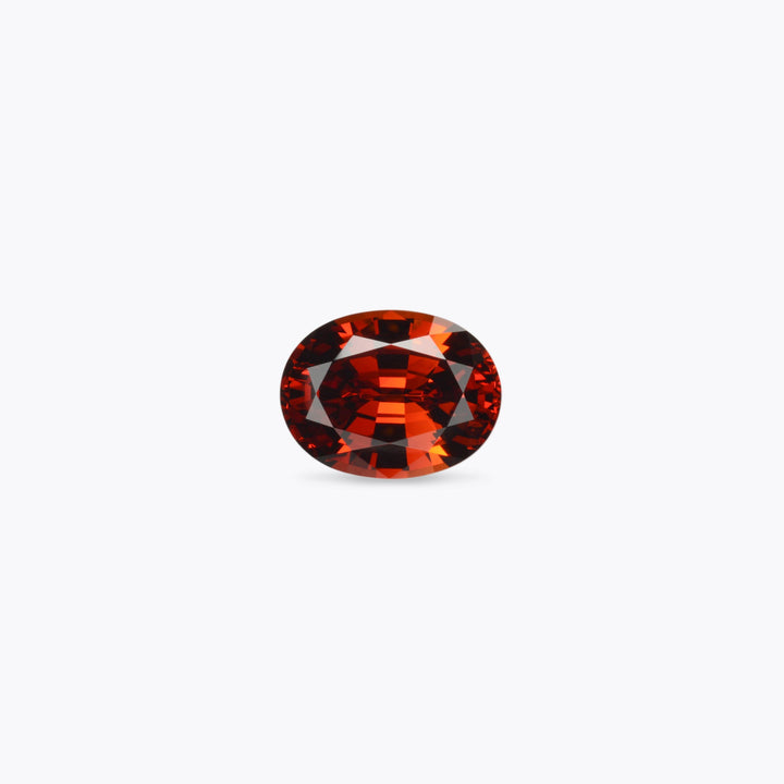 Spessartite Garnet #1010069