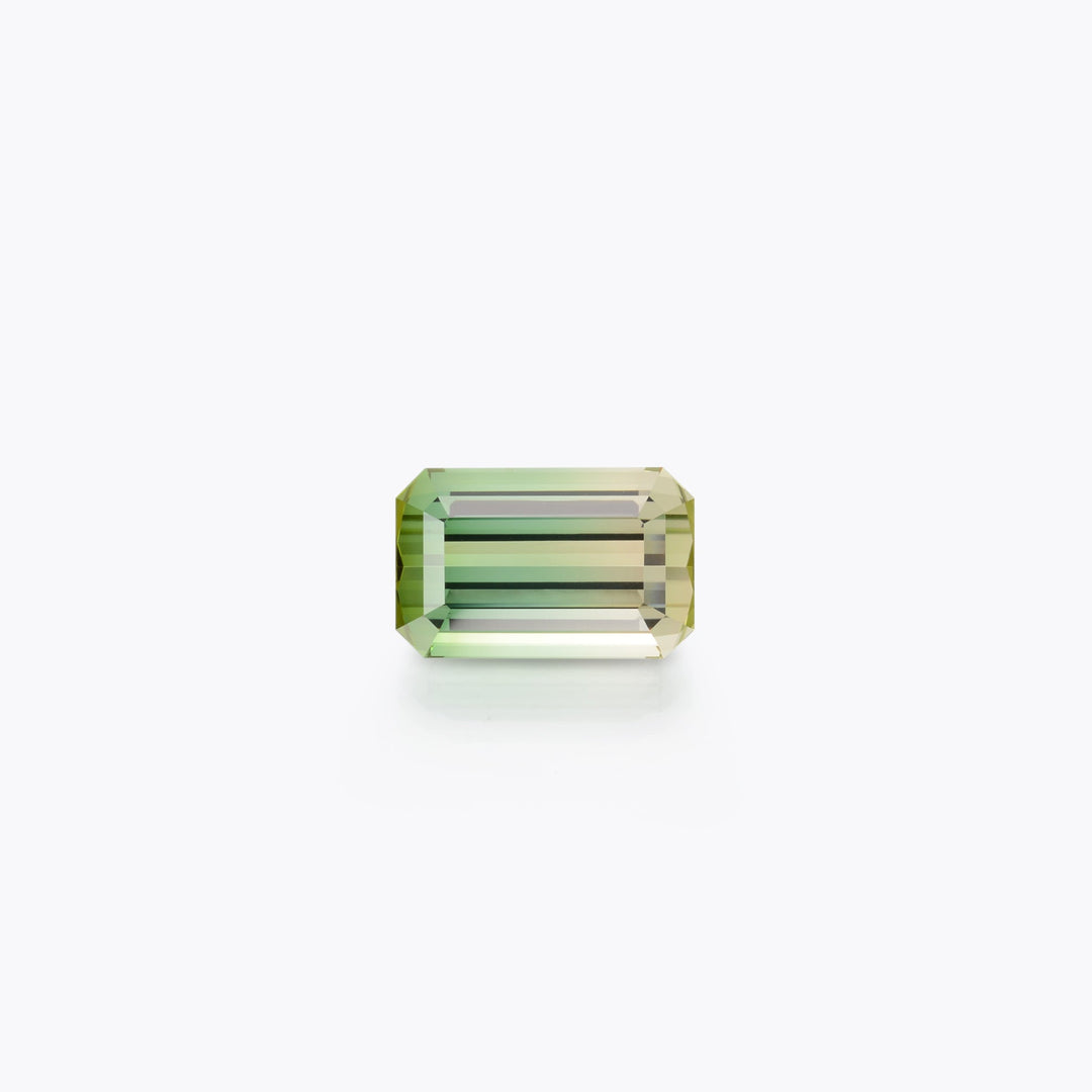 Bicolor Tourmaline #319124