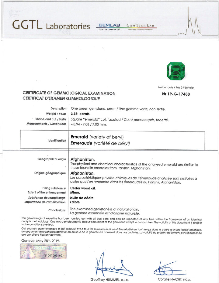 Panjshir Emerald #619043
