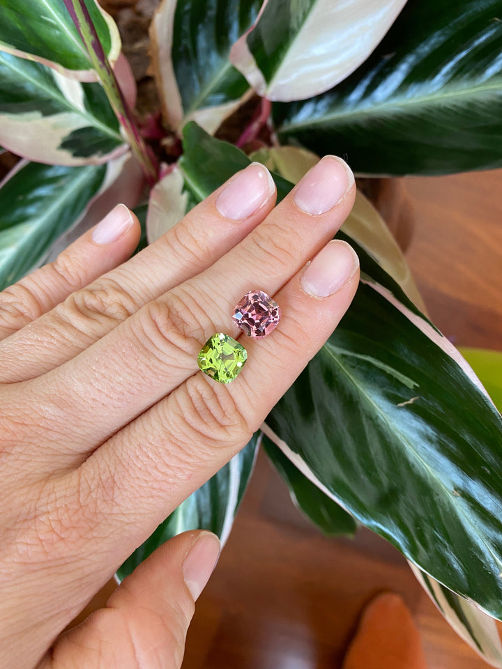 Pink & Green Tourmaline #819037