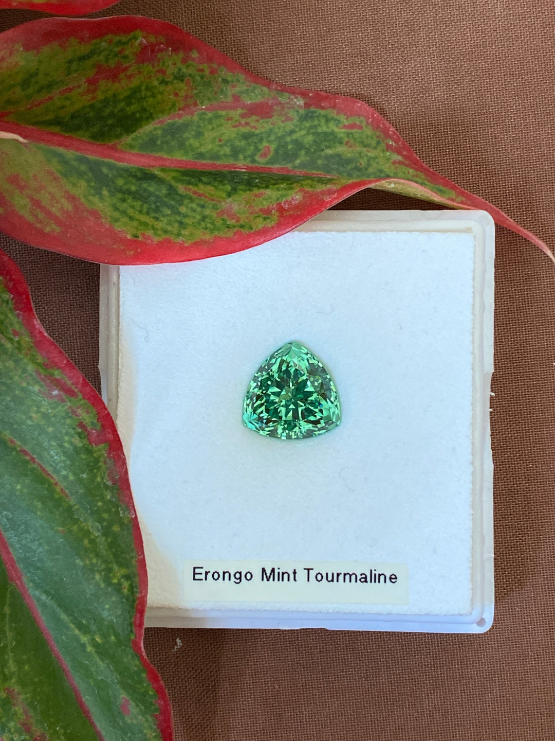 Mint Tourmaline #316081